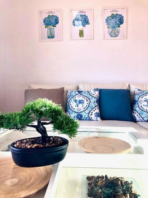 Gatu Premium Atico Parra, Parking, Piscina Comun, Terraza, Wifi , " Preferente Mayores De 25 Anos Y Familias " El Puerto de Santa María Eksteriør bilde