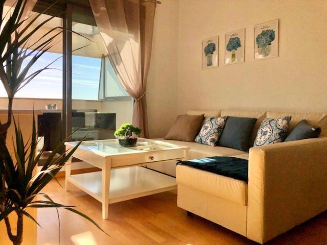 Gatu Premium Atico Parra, Parking, Piscina Comun, Terraza, Wifi , " Preferente Mayores De 25 Anos Y Familias " El Puerto de Santa María Eksteriør bilde