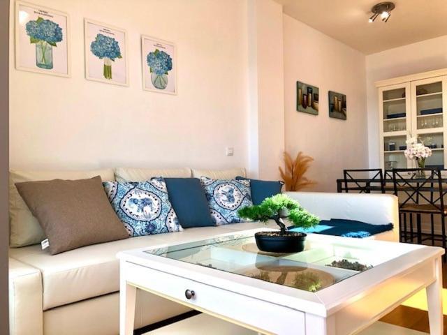 Gatu Premium Atico Parra, Parking, Piscina Comun, Terraza, Wifi , " Preferente Mayores De 25 Anos Y Familias " El Puerto de Santa María Eksteriør bilde